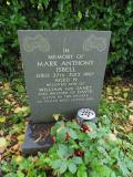 image of grave number 520468